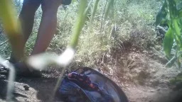 Nahaufnahme eines prallen Frauenhinterns, der im Wald über einem weißen Becher hockt und pissend gefüllt wird